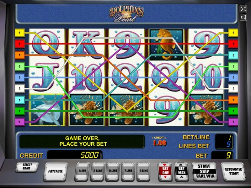 Dolphins pearl slot free play games